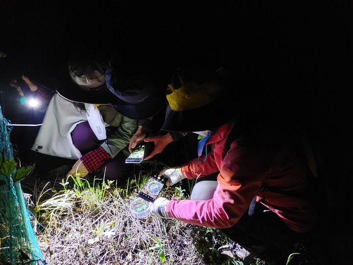 지난해 5월 파파리반딧불이 관찰 중인 성남시 자연환경모니터들 (사진 - 성남시 제공)