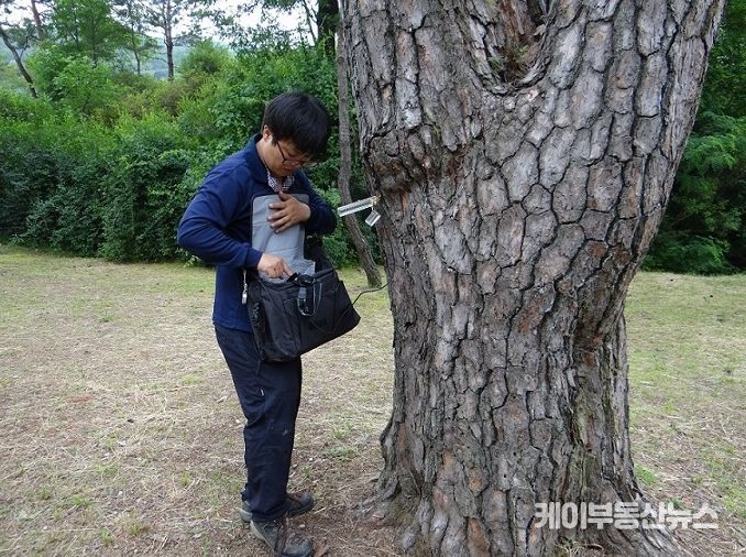 파주시,“아픈 나무 무료로 진단해드려요”