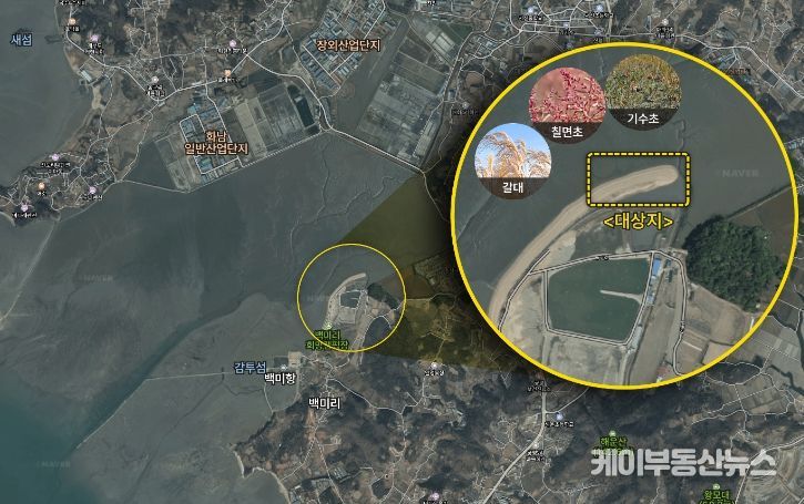 블루카본 해안조성