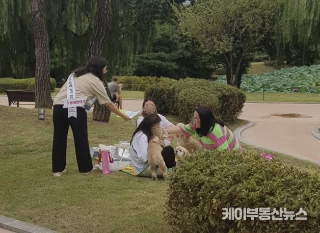 수원시 장안구, 동물등록 집중단속 및 펫티켓 홍보 실시