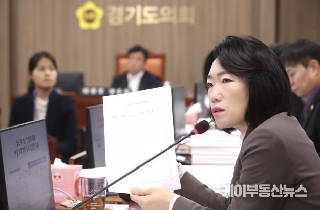 경기도의회 이혜원 의원, 김동연 지사 정치 행보에 직격탄