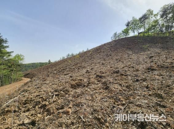 안성시, 2025년 봄철 조림사업 추진