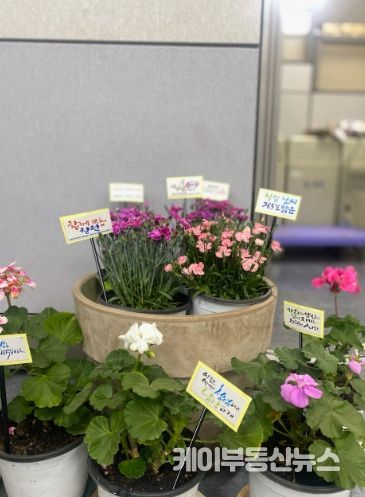 양주시, ‘청렴 화분 키우기’로 공직사회 청렴 문화 확산