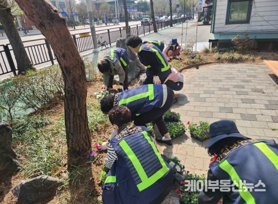 고양시 백석1동, 초화 식재⋯꽃향기 가득한 마을