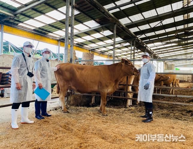 한우경진대회