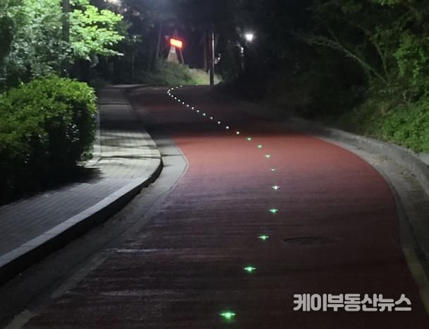 쏠라도로표지병