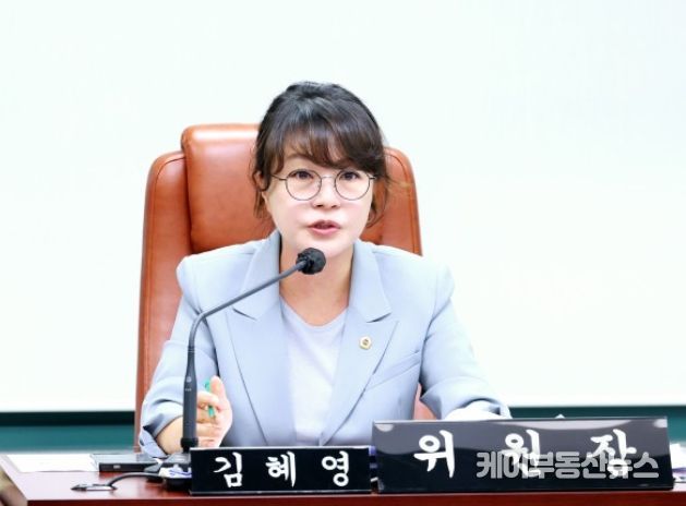 서울시의회 의료관광특위 김혜영 위원장