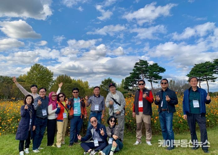 여주시, 금은모래강변공원 “코스모스 만개”