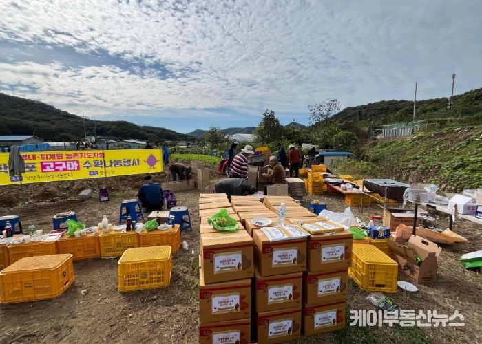 남양주시 농업인단체, 공동학습포 수확으로 ‘나눔의 농심’ 실천