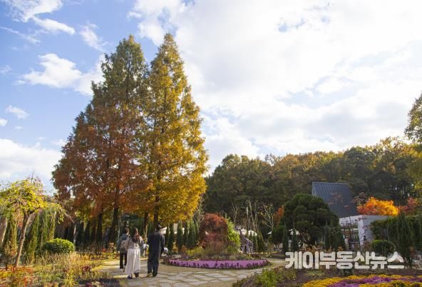 무릉도원수목원