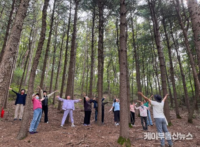 산림치유 프로그램