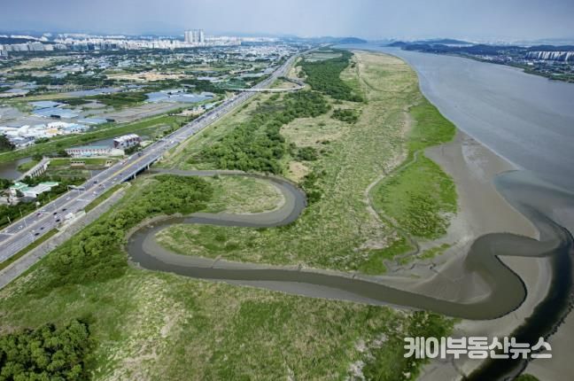 람사르 고양장항습지 전경