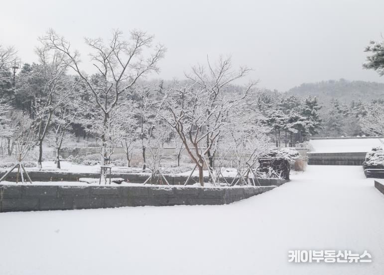 수목원의 설경