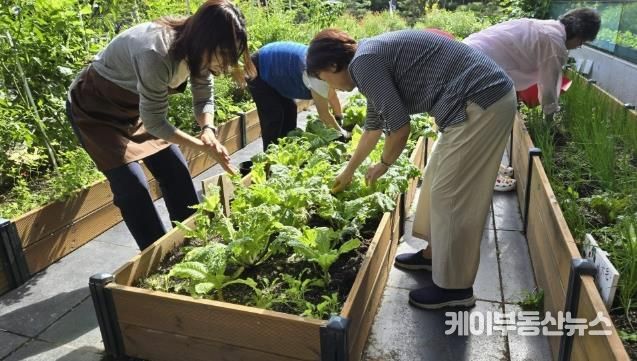2025년 수원시민들이 수원시농업기술센터 치유농업 활성화 사업에 참여하고 있다.