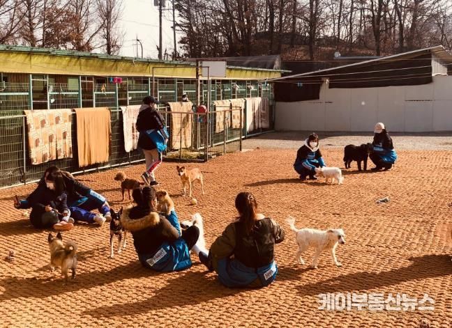 찾아가는 진료활동