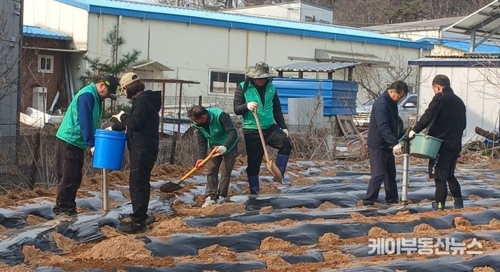 파주시 운정4동 새마을회, 봄맞이 감자심기 행사 개최