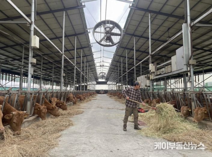 안성시, 2026년 상반기 사료구매 정책자금 지원사업 신청 접수