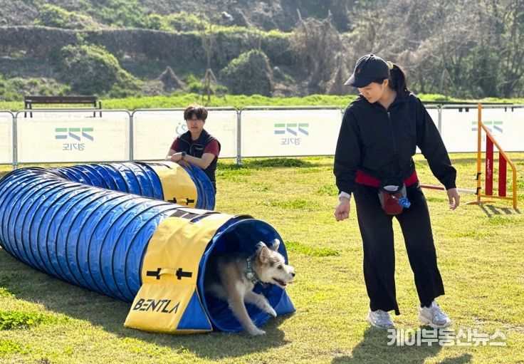 ‘반려마루 화성’ 동물 교감 활동 프로그램